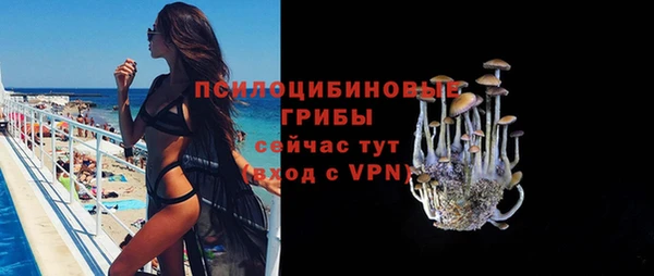 ГАЛЛЮЦИНОГЕННЫЕ ГРИБЫ Липки