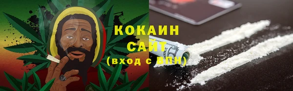 2c-b Горно-Алтайск