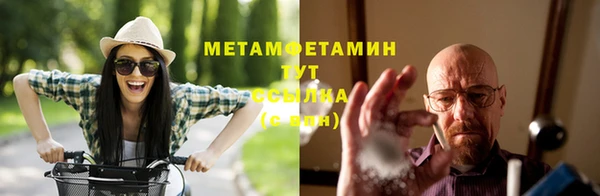 прущие грибы Лихославль