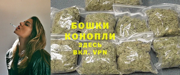 прущие грибы Лихославль