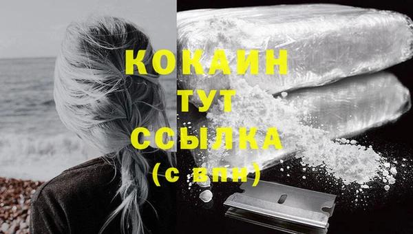 ГАЛЛЮЦИНОГЕННЫЕ ГРИБЫ Липки