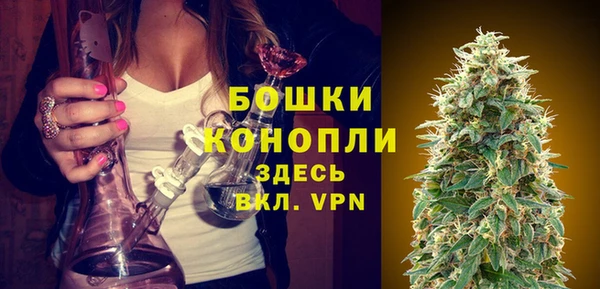 прущие грибы Лихославль
