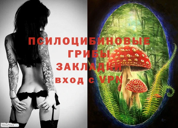 прущая мука Сосновоборск
