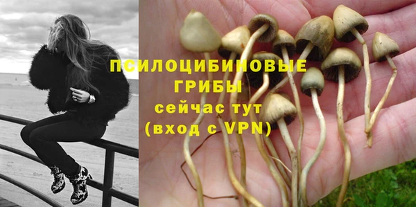 ГАЛЛЮЦИНОГЕННЫЕ ГРИБЫ Липки