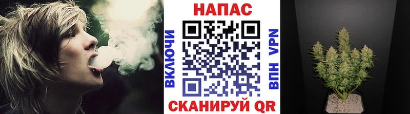 Каннабис гибрид  блэк спрут tor  Белая Холуница 