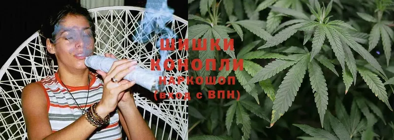 купить  цена  Белая Холуница  МАРИХУАНА гибрид 